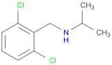 [(2,6-Dichlorophenyl)methyl](propan-2-yl)amine