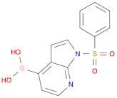 Boronicacid,B-[1-(phenylsulfonyl)-1H-pyrrolo[2,3-b]pyridin-4-yl]-