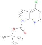 1H-PYRROLO[2,3-B]PYRIDINE-1-CARBOXYLIC ACID,4-CHLORO-, 1,1-DIMETHYLETHYL ESTER