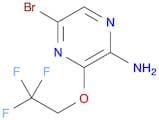 5-Bromo-3-(2,2,2-trifluoroethoxy)pyrazin-2-amine
