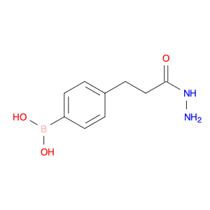 4-(3-Hydrazinyl-3-oxopropyl)phenylboronic acid