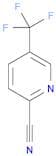 2-​Pyridinecarbonitrile​, 5-​(trifluoromethyl)​-