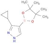 3-Cyclopropyl-4-(tetramethyl-1,3,2-dioxaborolan-2-yl)-2H-pyrazole