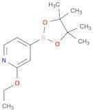 2-Ethoxypyridine-4-boronic acid, pinacol ester