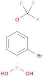 2-Bromo-4-(trifluoromethoxy)phenylboronic acid