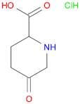 5-Oxopiperidine-2-Carboxylic Acid Hydrochloride