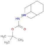 Carbamic acid, 3-​azabicyclo[3.3.1]​non-​9-​yl-​, 1,​1-​dimethylethyl ester (9CI)