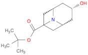 tert-butyl (1R,3r,5S)-3-hydroxy-9-azabicyclo[3.3.1]nonane-9-carboxylate