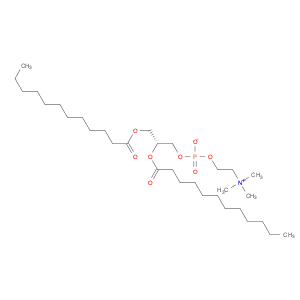 1,2-Didodecanoyl-sn-glycero-3-phosphocholine