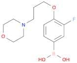 3-Fluoro-4-(3-morpholinopropoxy)phenylboronic acid