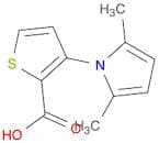 3-(2,5-Dimethyl-1H-pyrrol-1-yl)thiophene-2-carboxylic acid