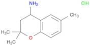 (2,2,6-trimethyl-3,4-dihydro-2H-chromen-4-yl)amine hydrochloride