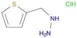 (2-thienylmethyl)hydrazine hydrochloride