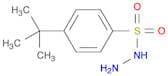 4-TERT-BUTYLBENZENESULFONOHYDRAZIDE