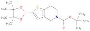 tert-Butyl 2-(tetramethyl-1,3,2-dioxaborolan-2-yl)-4H,6H,7H-thieno[3,2-c]pyridine-5-carboxylate