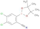 4,5-Dichloro-2-(4,4,5,5-tetramethyl-1,3,2-dioxaborolan-2-yl)benzonitrile