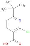 6-tert-butyl-2-chloropyridine-3-carboxylic acid