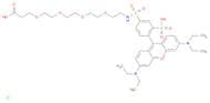 1-(Rhodamin B-sulfonamido)-3-oxo-7,10,13,16-tetraoxa-4-azanonadecan-19-oic acid