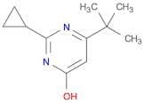 6-(tert-Butyl)-2-cyclopropylpyrimidin-4-ol