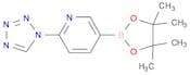 6-(1H-Tetrazol-1-yl)pyridine-3-boronic acid pinacol ester