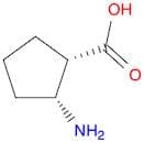 (1S,2R)-2-Aminocyclopentanecarboxylic acid