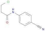 3-Chloro-N-(4-cyanophenyl)propanamide