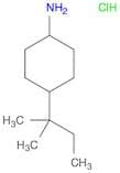 4-(2-Methylbutan-2-yl)cyclohexan-1-amine hydrochloride