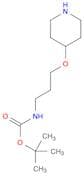 tert-butyl N-[3-(piperidin-4-yloxy)propyl]carbamate