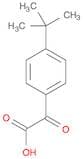 2-(4-Tert-butylphenyl)-2-oxoacetic acid