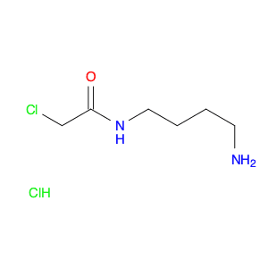 N-(4-Aminobutyl)-2-chloroacetamide hydrochloride