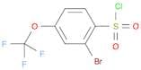 2-Bromo-4-(trifluoromethoxy)benzene-1-sulfonyl chloride