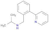 (propan-2-yl)({[2-(pyridin-2-yl)phenyl]methyl})amine