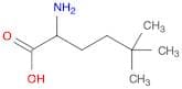 2-Amino-5,5-dimethylhexanoic acid