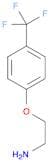 1-(2-Aminoethoxy)-4-(trifluoromethyl)benzene