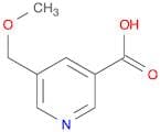 5-(Methoxymethyl)pyridine-3-carboxylic acid