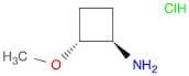 2-methoxycyclobutan-1-amine hydrochloride, trans