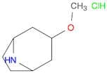 3-Methoxy-8-azabicyclo[3.2.1]octane hydrochloride