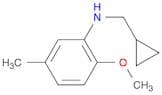 n-(Cyclopropylmethyl)-2-methoxy-5-methylaniline