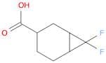 7,7-difluorobicyclo[4.1.0]heptane-3-carboxylic acid