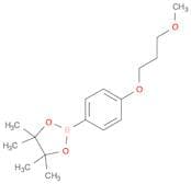 2-[4-(3-Methoxypropoxy)phenyl]-4,4,5,5-tetramethyl-1,3,2-dioxaborolane
