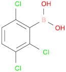 (2,3,6-trichlorophenyl)boronic acid