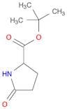 tert-butyl 5-oxopyrrolidine-2-carboxylate