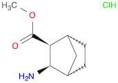 Rac-methyl (1R,2S,3R,4S)-3-aminobicyclo[2.2.1]heptane-2-carboxylate hydrochloride, exo