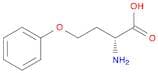 (2R)-2-amino-4-phenoxybutanoic acid