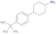 4-(4-tert-Butylphenyl)cyclohexan-1-amine