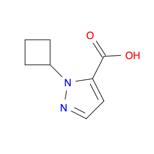 1-Cyclobutyl-1H-Pyrazole-5-Carboxylic Acid