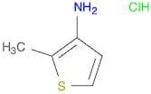 2-Methylthiophen-3-amine hydrochloride