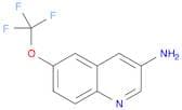 3-QUINOLINAMINE, 6-(TRIFLUOROMETHOXY)-