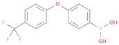 {4-[4-(trifluoromethyl)phenoxy]phenyl}boronic acid