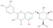 Quercetin 7-glucuronide